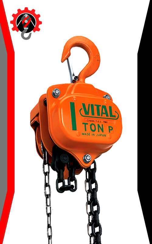Tecle Manual Vital