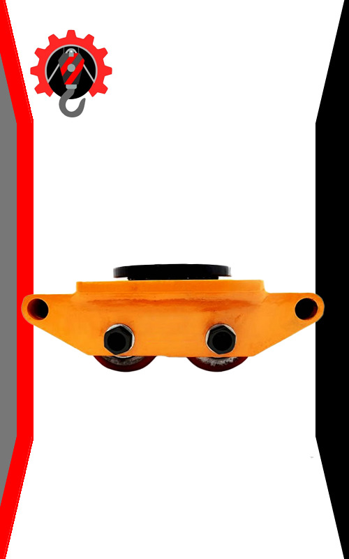 Tortugas Fijas
